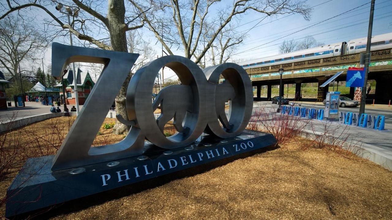 Trendy Fairmount Gem-5 Star Location, Roof Deck, Parking, Gr8 For Families Apartment Philadelphia Luaran gambar